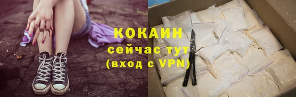 мяу мяу мука Гвардейск