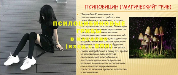 трава Верея