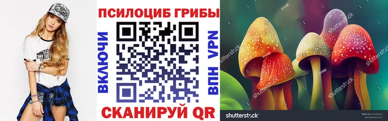 где купить наркоту  Вичуга  Псилоцибиновые грибы Magic Shrooms 