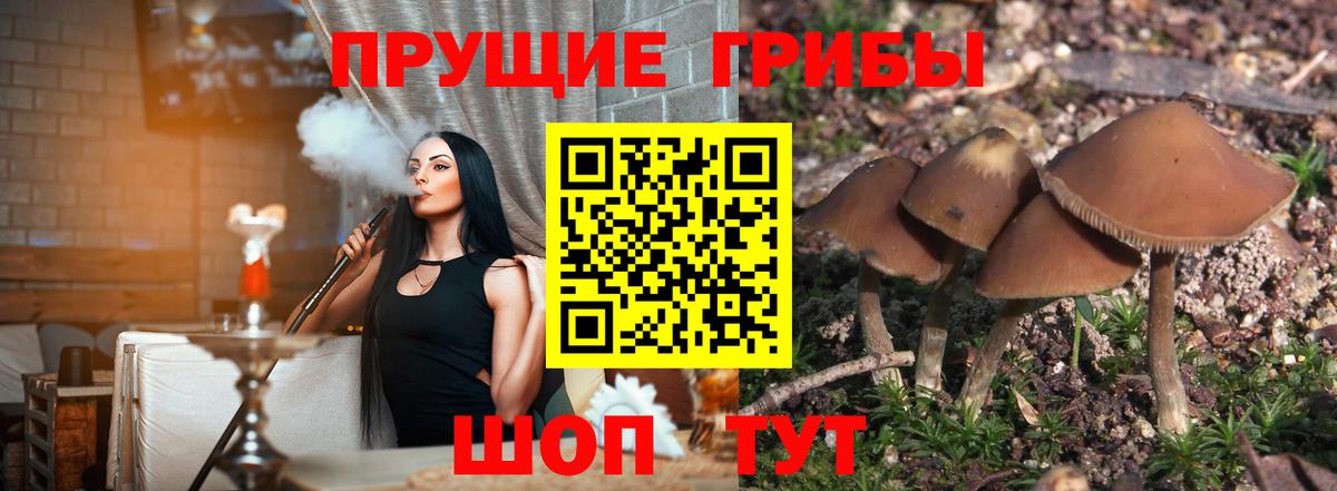 Псилоцибиновые грибы MAGIC MUSHROOMS Вичуга