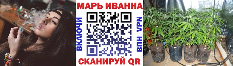 Конопля SATIVA & INDICA хочу блэк спрут сайт Вичуга