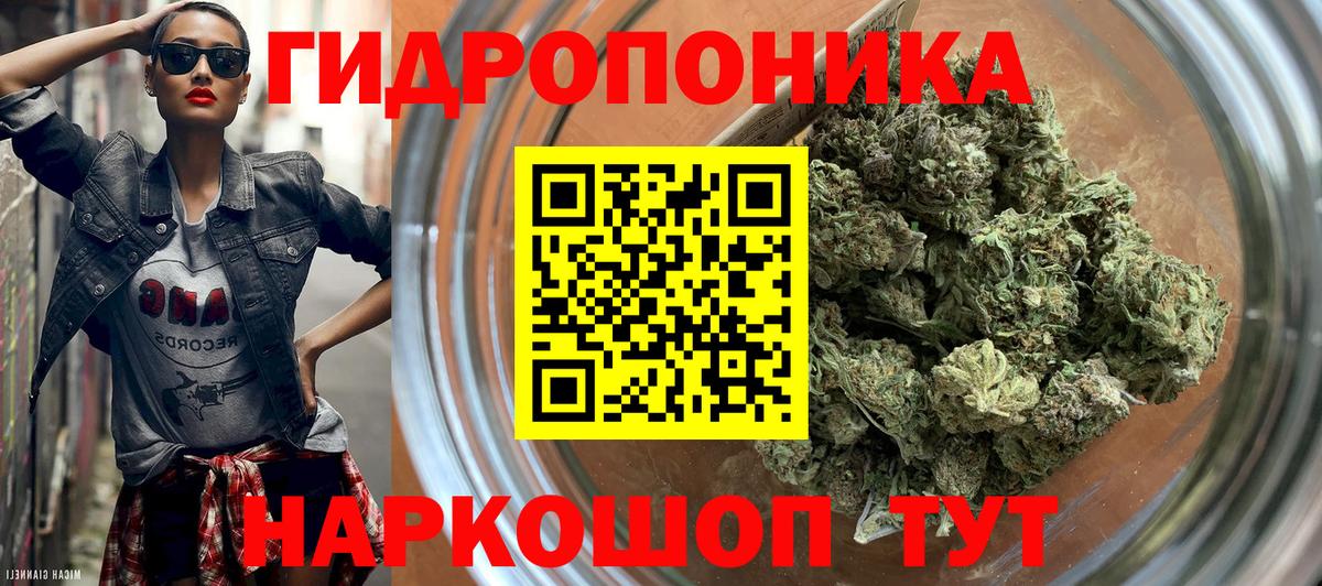 МАРИХУАНА сатива Вичуга
